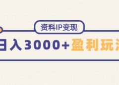 资料IP变现，持续性盈利玩法