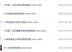 霍去病的抖音seo课,抖音SEO优化大热,红利期蕴藏无上限财富