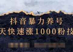 抖音暴力养号,三天快速涨1000粉技术【视频课程】