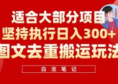 【白龙笔记】图文去重搬运玩法，坚持执行日入300+，适合大部分项目（附带去重参数）