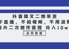 抖音图文二创带货,不直播,不拍视频,不用混剪,图片二次创作变现 月入10w