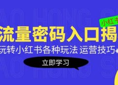 小红书流量密码入口揭秘:带你玩转小红书各种玩法 运营技巧+优化