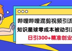 哔哩哔哩混剪视频引流创业粉日引300+知识星球零成本被动引流创业粉一天300+