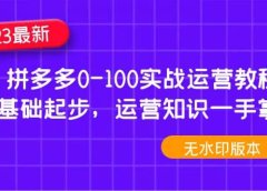 2023拼多多0-100实战运营教程,0基础起步,运营知识一手掌握(无水印)