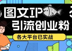 价值1688的ks dy 小红书图文ip引流实操课，日引50-100！各大平台已经实战