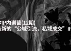 新媒体IP内训营(12期),一套全新的“公域引流,私域成交”IP打法,直接带走