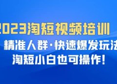 2023淘短视频培训:精准人群·快速爆发玩法,淘短小白也可操作
