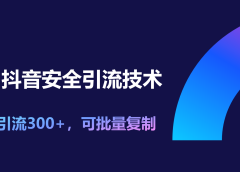 11月抖音安全引流技术,单日引流300+,可批量复制