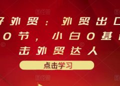 业仔外贸:外贸出口详解30节,小白0基础进击外贸达人 价值666元