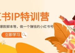 小红书IP特训营