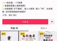 国潮壁纸变现项目,新手可操作日赚200+【素材+软件+教程】