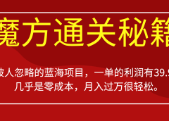 被人忽略的蓝海项目，魔方通关秘籍一单利润有39.9，几乎是零成本