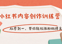 【小红书内容创作训练营】从零到一,带你轻松涨粉做博主(价值399)