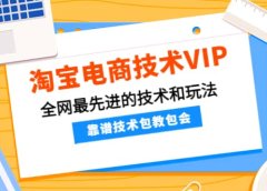 淘宝电商技术VIP,全网最先进的技术和玩法,靠谱技术包教包会(更新115)