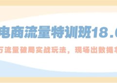 电商流量特训班18.0,直引万流量破局实操玩法,现场出数据拿结果