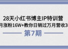 28天小红书博主IP特训营《第6+7期》4个月涨粉16W+教你日销过万月营收30万