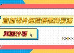 淘金之路第十期实战训练营【直播切片】,小杨哥直播切片短视频带货玩法