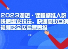 2023淘短·课程精准人群快速爆发玩法,快速高效自创视频及全店运营思维