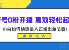 新号0粉开播-高效轻松起号：小白如何快速进入正常出单节奏（10节课）