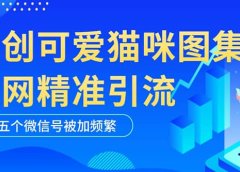黑科技纯原创可爱猫咪图片,全网精准引流,实操5个VX号被加频繁
