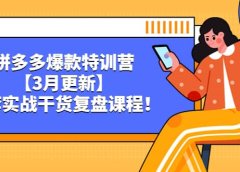 拼多多爆款特训营【3月更新】,全套实战干货复盘课程