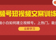 视频号短视频文案训练营:0基础小白如何建立视频号,上热门,能卖货!