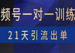 视频号训练营：带货，涨粉，直播，游戏，四大变现新方向，21天引流出单