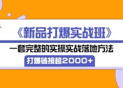 《新品打爆实战班》一套完整的实操实战落地方法,打爆链接超2000+(38节课)