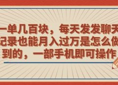 一单几百块,每天发发聊天记录也能月入过万是怎么做到的,一部手机即可操作