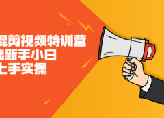 二次混剪视频特训营,0基础新手小白都能上手实操,两天开干