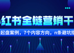 小红书全链营销干货,5个起盘案例,7个内容方向,n条避坑指南