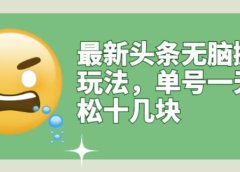 最新头条无脑搬运玩法,单号一天轻松十几块【视频教程+搬运软件】