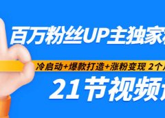 百万粉丝UP主独家秘诀:冷启动+爆款打造+涨粉变现2个月12W粉(21节视频课)