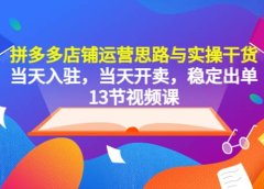 拼多多店铺运营思路与实操干货,当天入驻,当天开卖,稳定出单(13节课)