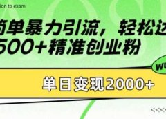 简单暴力引流轻松达到日引500+精准创业粉,单日变现2k【揭秘】