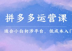 拼多多运营课,适合小白初涉平台,低成本入门