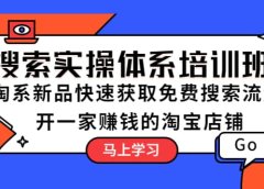 搜索实操体系培训班:淘系新品快速获取免费搜索流量 开一家赚钱的淘宝店铺
