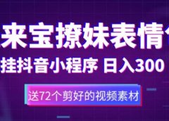 鼠来宝撩妹表情包，通过抖音小程序变现，日入300+（包含72个动画视频素材）