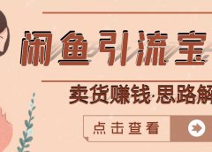 闲鱼引流宝妈粉+卖货赚钱一个月收益30000+(实操视频教程)