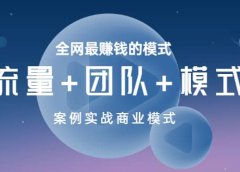 全网最赚钱的模式《流量+团队+模式》案例实战商业模式