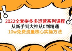 2022全套拼多多运营课程,从新手到大神从0到精通,10w免费流量核心实操方法