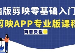 电脑版剪映零基础入门教程+剪映APP专业版课程(两套教程)