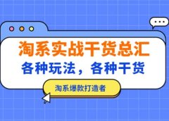 淘系实战干货总汇:各种玩法,各种干货,淘系爆款打造者
