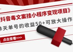 《抖音毒文案挂小程序变现项目》