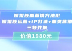 短视频垂营销方法论:短视频运营+IP打造+垂类营销，三频共振（价值1980）