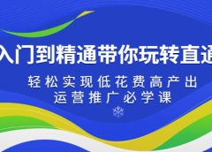 从入门到精通带你玩转直通车:轻松实现低花费高产出,35节运营推广必学课