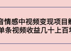 抖音情感中视频变现项目孵化