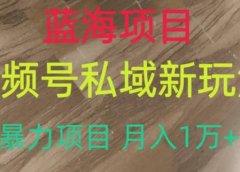 蓝海项目,视频号私域新玩法,暴力项目月入1万+【揭秘】