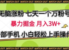 无脑涨粉 七天一个万粉号 暴力掘金 月入三万+,一部手机小白轻松上手操作