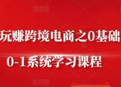 朱哥·玩赚跨境电商之0基础课程，0-1系统学习课程